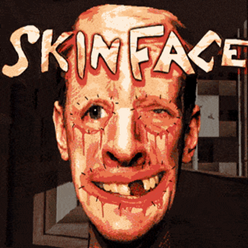 Skinface免费版下载